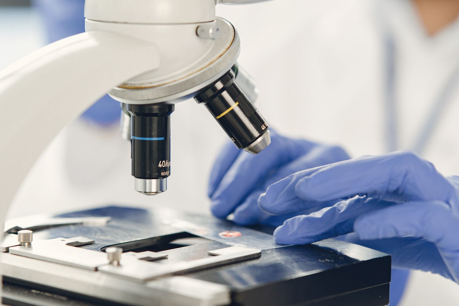 Observation au microscope en laboratoire